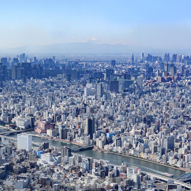 Lena de Jong - Expat family life guide in Netherlands